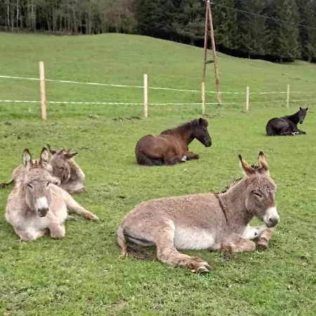 Rossweid - Formerly Tui شقة