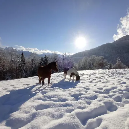 Rossweid - Formerly Tui شقة