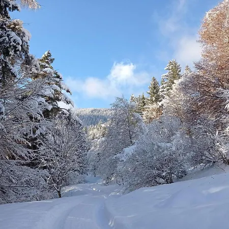 شقة Rossweid - Formerly Tui *